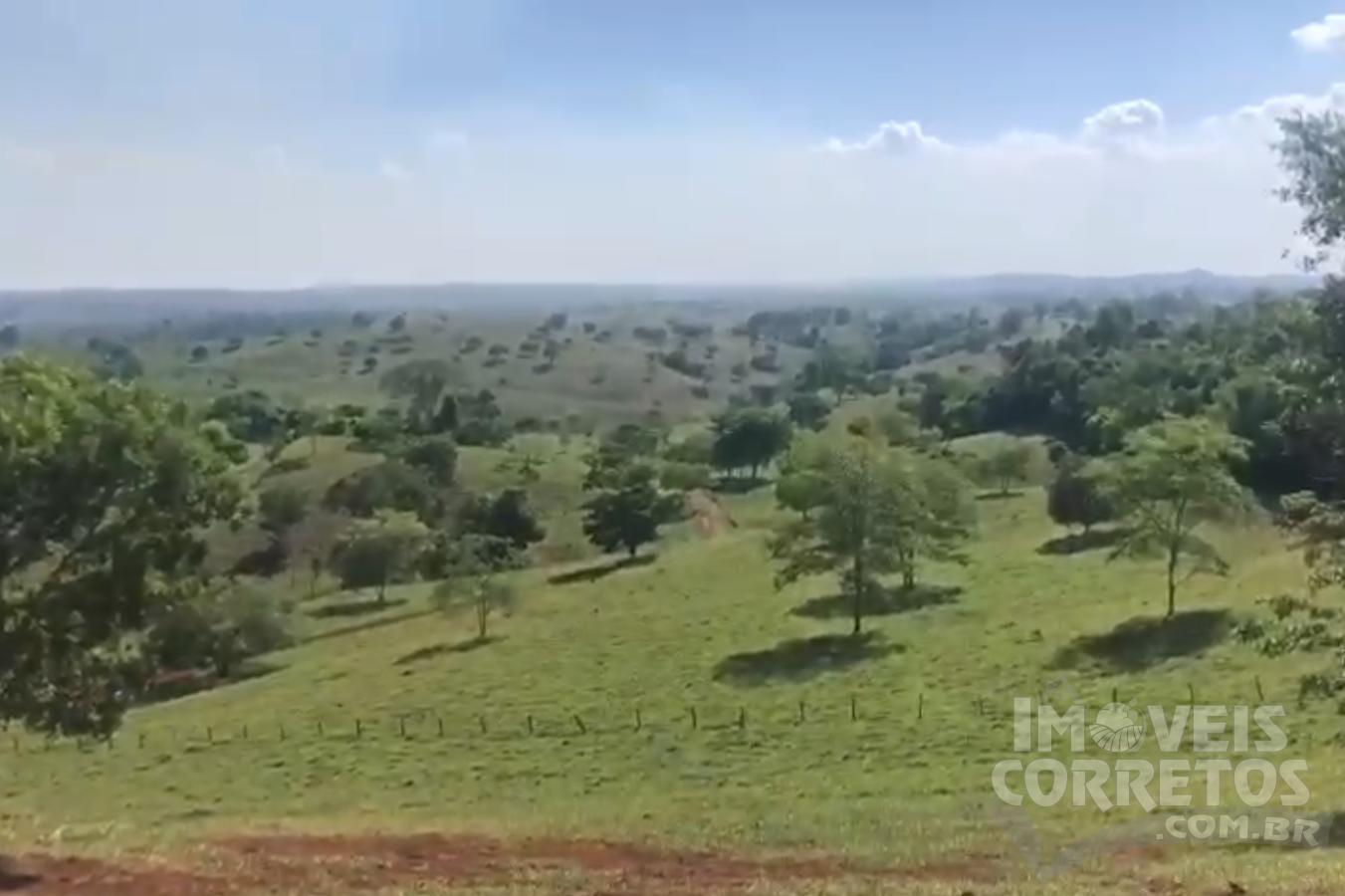 Fazenda Para Venda Itapaci Go Bairro Rea Total Alqueires